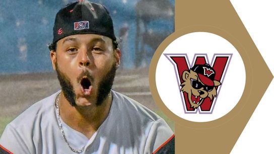 Wild Things hold on behind big third inning taken in Washington, Pa. (Wild Things)